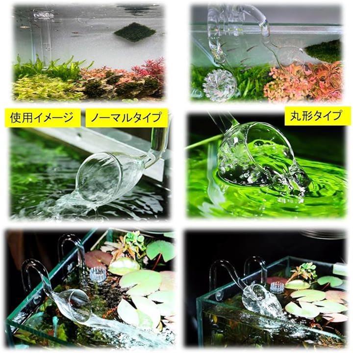 ffff8f979d8cce85a48affffb88087b08b909ca0ffff808086828185938787800000002b002b000e0072005200010097