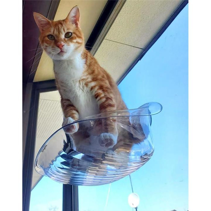 宇宙　ガラスの猫（ペア） 宇宙 ガラスの猫（ペア）