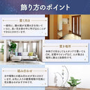 00000b080000ff00ff90e990ff10ff0edfefdfffdeffc300fffffffffcf7ffdba1b6a29fa9f5ce15001cb21b97989500