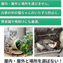 ffff0aa1ffff1119000100010001dd80e081fb818888b0fd80a088e0ffffffff000000006f6f6f6f00b2001c00230007