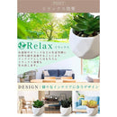 ffff008003e1218001000018fffebffcfff9bfffda2f999caffff81fb014f87e12101010362c33426e6e6e8b27261b35