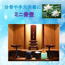 ffffffd9ffc1fcc5ffc1ffffc340c343c043c043c003c001c001c021c001ffff