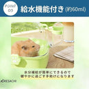 000030007b200000fb03f15fffeffffff9fff89ff8bff603f603fd27ffffffff90909090464035184417351d3e323217