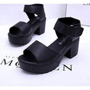 f0fff0fff8e7e8c3c0c180c183c3c583f803f003e007e01ff03ff0ffffffffff