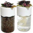 ffffff8181c080c1fdfdfffffffffffface180ff80ff80fd80ff80ff80ffc1fb00000000006b006b0092002300150024