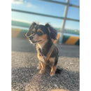 fe3ffff8cffbffcffffff81fc01ec000c300c000f908f116420300000200184032908d956a4b7d6c316400932022101a