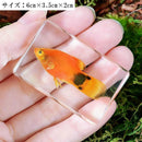 ff80ffe01fe07fdcfffceefcf8e6a83f1c1e1f0e6798fbe8f7bcdf78bdf0f7e00000000c04d3e9f10afc14f7020a00f9