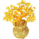 ffffffbffecfe91ff007f037f083c003c023f81ffc1ffc1ffc0ffc0ffc1ffe3f0000000000261a1a00211a2100001f00