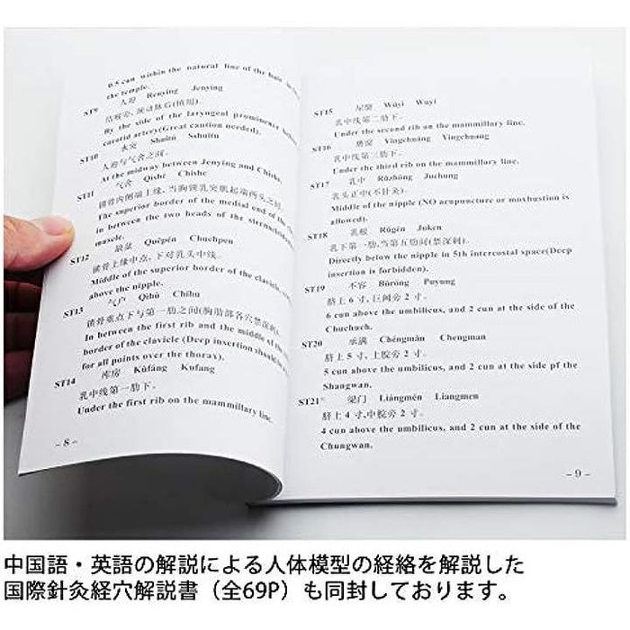 人体模型 ツボ 針灸 鍼灸経穴模型 経絡 モデル 整体 マッサージ 学習用 52.5cm