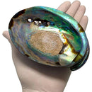 fffffffffffff867e007c003c083c003e003e001e011e003f007f00ff01ff81f