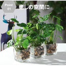 002070607e70fe20f690a630e848d80098009c08a000d933f093fc97fdbfffff41442449a49a443aa4ab445075335f12