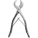 ffffffbfffbffebfff7fff7ffebffedffddffcbffdcffbeffbeffbeffff7f7f700000000000000000000000000000000