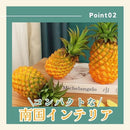 ffff8000ffe6b800b800b800b802b800b222b046a9f080fea000883a94a480001e1e1e1e1e1a843c1e17141a1e1a2313