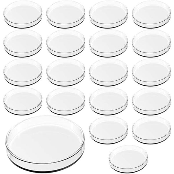 ffffffffe6eeddddeed5baeefbfee6e7cdb9e489afeefdbff1ecb8d9fde7d1db00000000000000000000000000000000