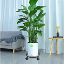 ff3fff3ffc1ffc3ffb1ffb1ffccff9df821f813f813b81fd81fd81dd804081fb