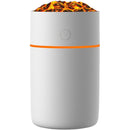 fffffffff80ffe0ffe0ffe0ffe0ffc0ffc0ffc0ffc0ffc0ffc0ffc0ffc0ff80f00000000000000000000000000000000