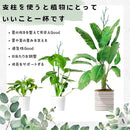 ffff9fffeefffffde8d3c7e1eff9c4c1fe77fde3c683c69b5ffb5fff9bfe47fd4e4e4e00000000550000443c6200000f