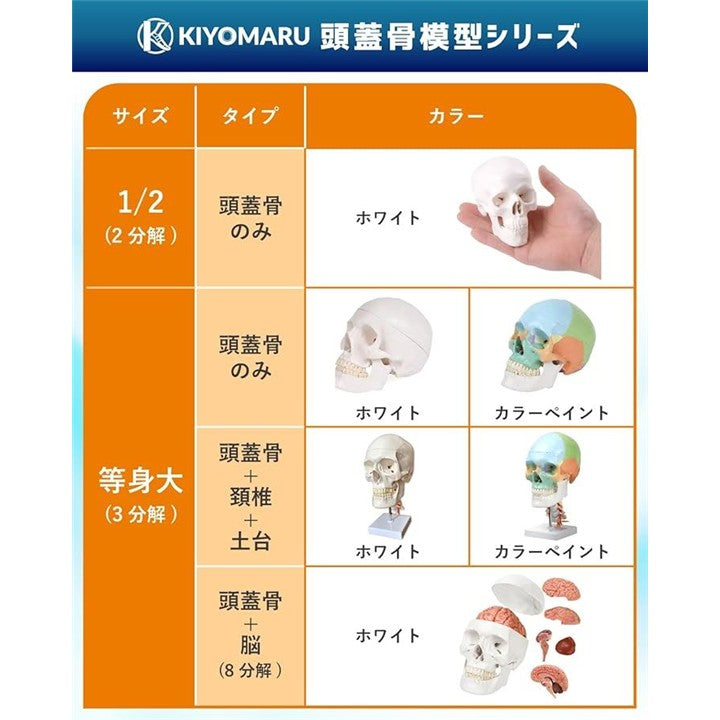 000021d2800080008ffb8fe98ffd8ffd8ff98fff8fbd8fff8fff8fff8fff8ffb8b8b8b8b8b1800fb8318072b89180000