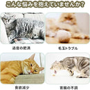 ffffc189ffff9fe0a5a0c480c2f8e0c0fffffffffdff81c080f480fe80ffffff0000000000752bfd0080000000212b1a