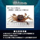 0000036000001ffc136c1ffc1d7c1e3c1e1c1fec1ffc1ffc000000000a00158e8982828890000000951600009b97959e