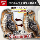 000100080000f9dfc7ff83ebb7e3e3e5f061e7f1ac3185c0a0f0eaf4e238dc28fd0000000014941b6b2401001c151f10