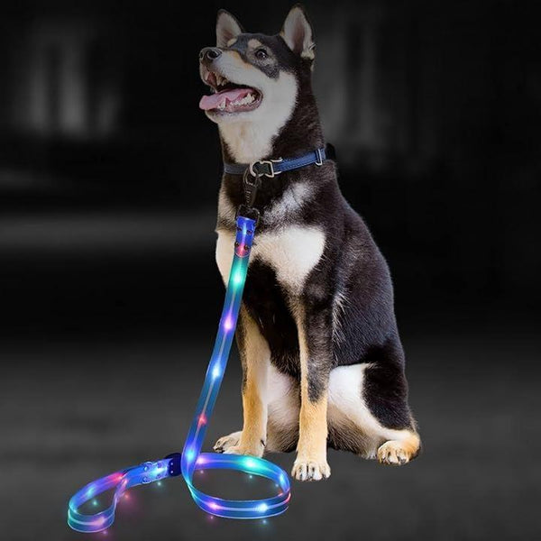 0000014023a063a001b000000060e1e001700130014000e0ffefffffffffffff000000000000f50000001300000008da