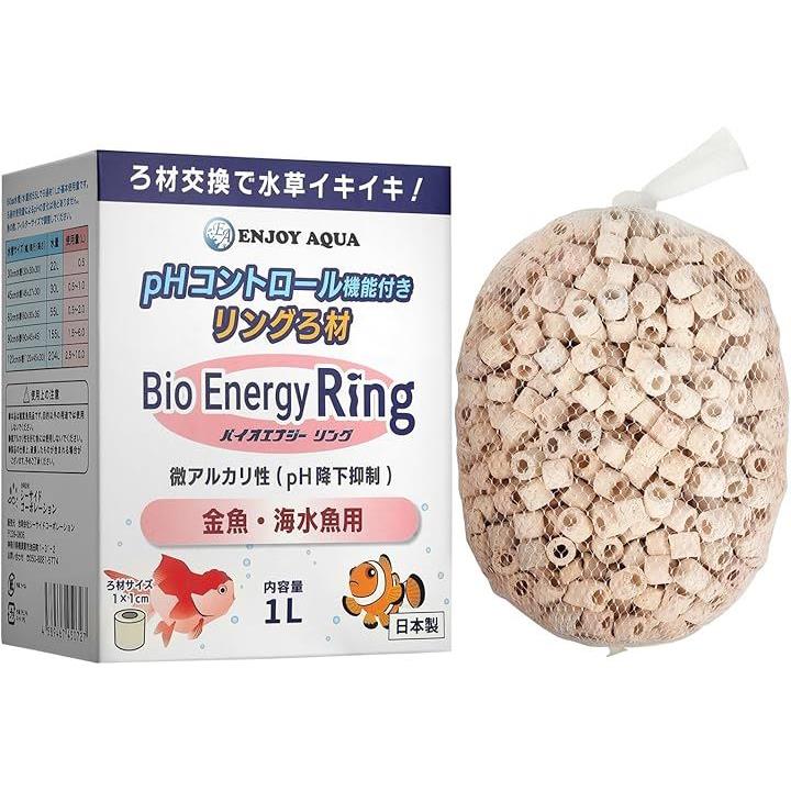 ffffffffffffffff82bb9ee196409fc09eca9dc093448fc39761d9ffffffffff0000000000ad9300009c1c1b00030015