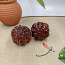 079f07df43ef43ff030001ff87cff007e007e007f08fd1effff7fefffffeffff0e0ea0ab0e0e0b1a1a0a070e18141c0a