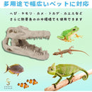 ffff8f7fffffffffffffc7fbc067806f81ff8061f07fffffc781cf86fdf2f7ff000000005f5f5c5c5a125959639e692a