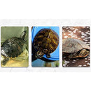 ffffffffffff8b34822e8e1d800f8413800380268020c8208001bc08fc03ffff