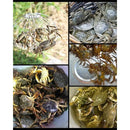 0000ff837f87ff9ffd89fffdff881fc9006434708c799060306511a800c001c40000000022061772ebeb6b151b1f001f