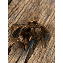 3fdf7fff5fffb7bf2fdd5dbbb0175001000188018001c00382bf216f063ef09b0f161615181614151a22121512101214