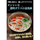 000050340a00192200000020fe382f6e5be27ffe7f7e7ffc8ff800002c78e5b000000000000000000e0c1a4e10171917