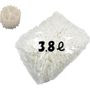 ffffffff8fff8f8f8f07fc01f019f600e301f003f007f80ff81ffc3ffeffffff00000000000032240033302400002900