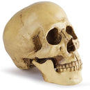 fffffc3ff03fe03fc01f8017800380038013c003c003e001f001f073fe27ffe300000000001a1d1a001c1a1200171d17