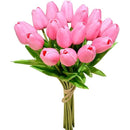 fffffffffd0bb02b9000c002e601f003e007f80bff0fff3fff3fff3fff3fff3f0000d50000f5ebef0036024100001a00