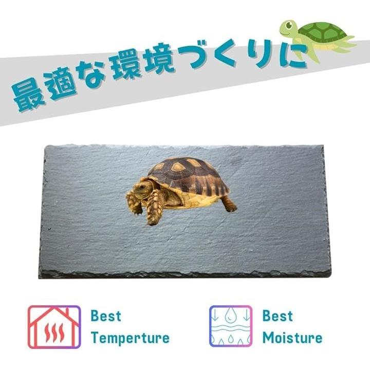 fffffff9ff6ac1ffbfffffffffffc001c001c001c001c001ffffcfdfdfffffff0000000000000000008e129400803547