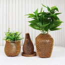 fffffffffff1ff83ff01ff01ff01ff80c7efc6c7828b4003c007c427efc7ffff3200002200003d48003b24ab00150f14