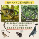 ffffe1dfffff88a6c0e800c4808080a08080dffffffedffff009ffb99f79ff37171a1a201a88203a19211c2819030307