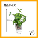 00007fff5dff7fff7fbf7fff763f7e0f7e1f7c5f7e3f7e3f7e3f7ffb7ffb7fff1c1c1c1c1c0031001c004a001c001600