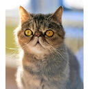 fdfffdfff7e3f80ff00ff00fe007e107f406ff83f101f001740018001c00df000000a19a1c1722202512151715131a2b