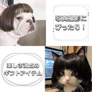 9fffc3ff83ff1fef1eff0cdff8fff0ffff20ffa0be40df80ff80ee00ff10ff0013002b00000e20001524181300009812