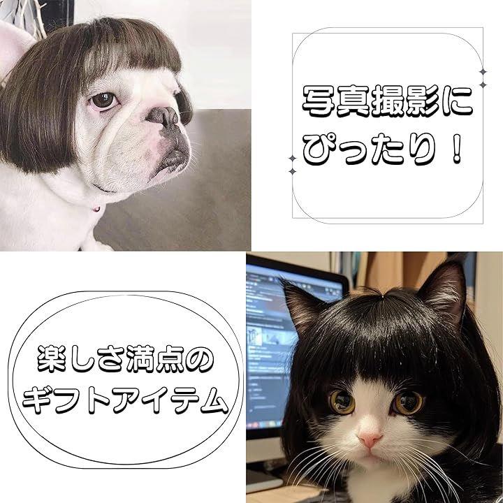 9fffc3ff83ff1fef1eff0cdff8fff0ffff20ffa0be40df80ff80ee00ff10ff0013002b00000e20001524181300009812