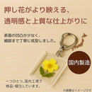 fffffffffbdfffffa686ffffb9e7afefffe1ffcdff60fe1afc18fc0fcbdfc7ff1818171a1b07190b1b19191c1b1b261c