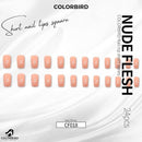 787ff1ffe3ffcffd1ffd3fff7fff9243fffd9243ffffffffffcfa61ee1f50011