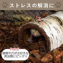 ffffbffebfff00010407003e007f001f001f00070006000700067f006f017e1816161616151e0f120e0b162b12121701