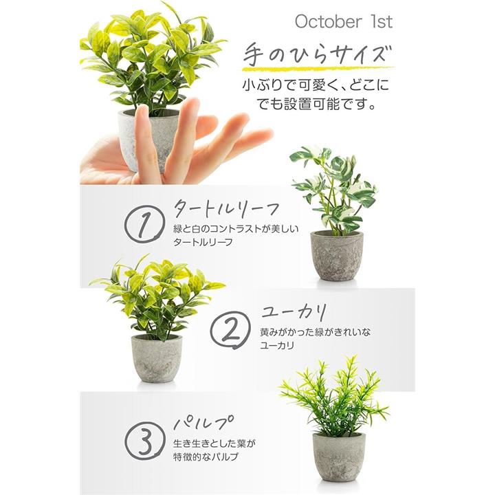 ffffc3ff81ffc3b7e17f807f23fffef3eff3e3f3e3ffe67fe7fbffebf7f3fff300000000002711000000001a00240000