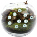 fffffffffdefffffff7fe0cbc109c111cc06c0d0c801c111e101f003fc0fffff00000000000028ab007f1f1e001e3a34