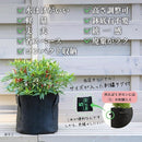 ffffc005cfc31fffffffec01eeff57ffecff8021e17fc19fc189c1f1c1b9a1ffab9aa0a09e979fa09f699c9aeb92b024