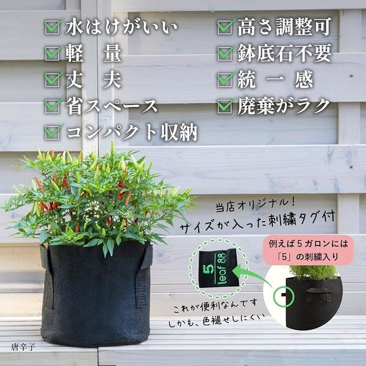 ffffc005cfc31fffffffec01eeff57ffecff8021e17fc19fc189c1f1c1b9a1ffab9aa0a09e979fa09f699c9aeb92b024